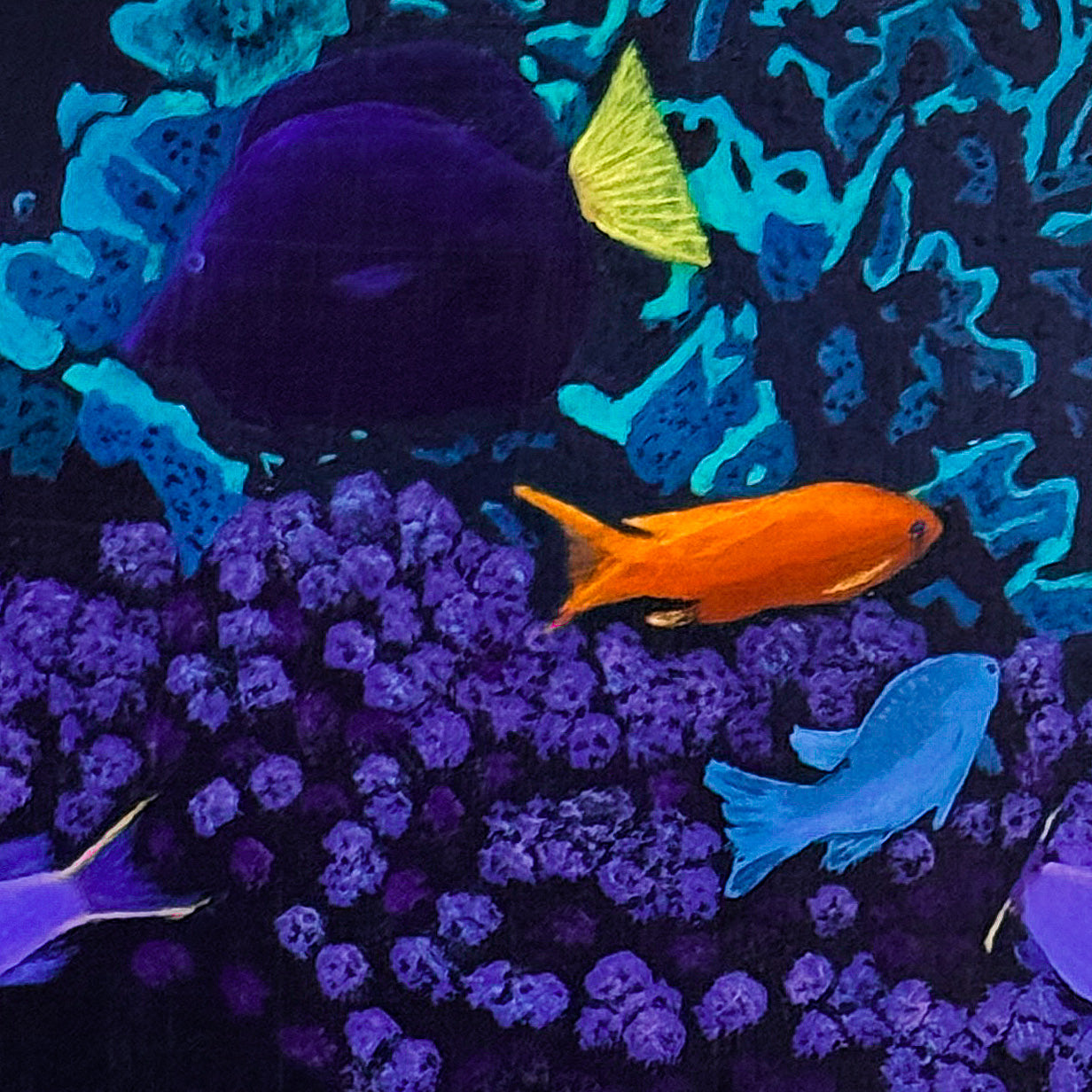 Coral Kaleidoscope