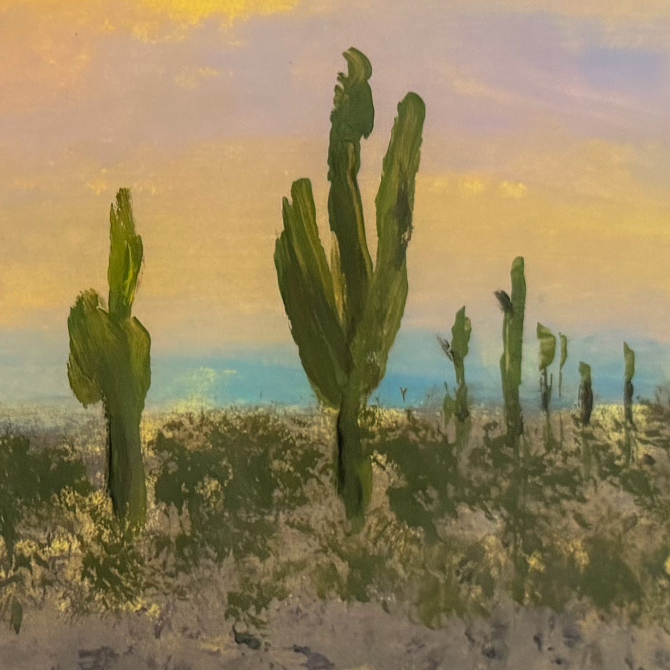 Saguaro Sunset