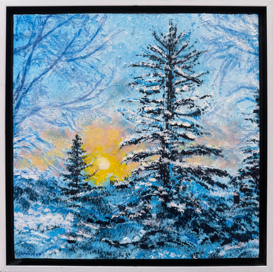 Solstice Solitude