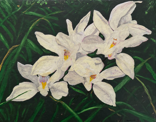 Orchids