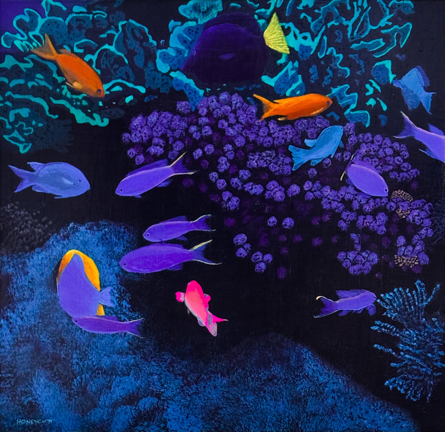 Coral Kaleidoscope