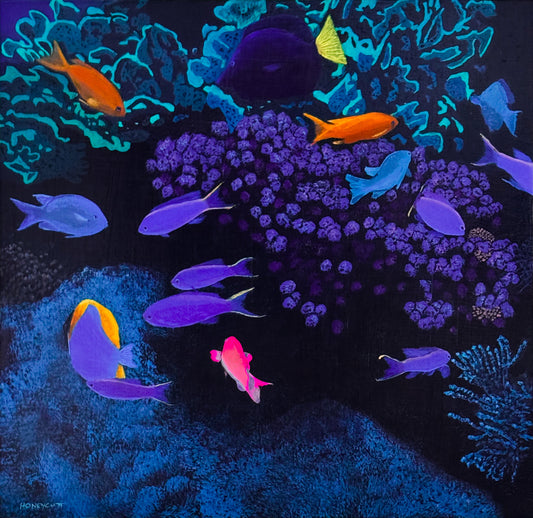 Coral Kaleidoscope