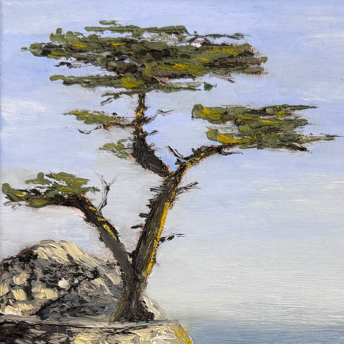 Lone Cypress