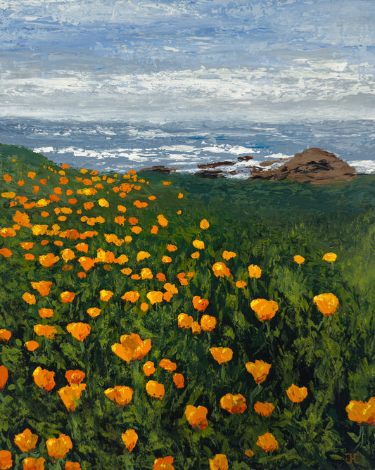 Poppies, Soberanes Point