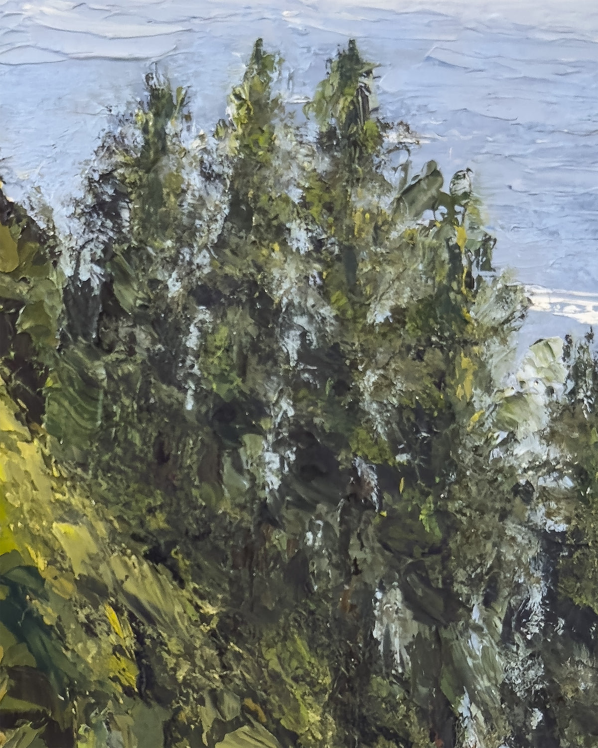 Descent to Partington Cove