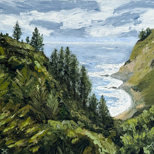 Descent to Partington Cove