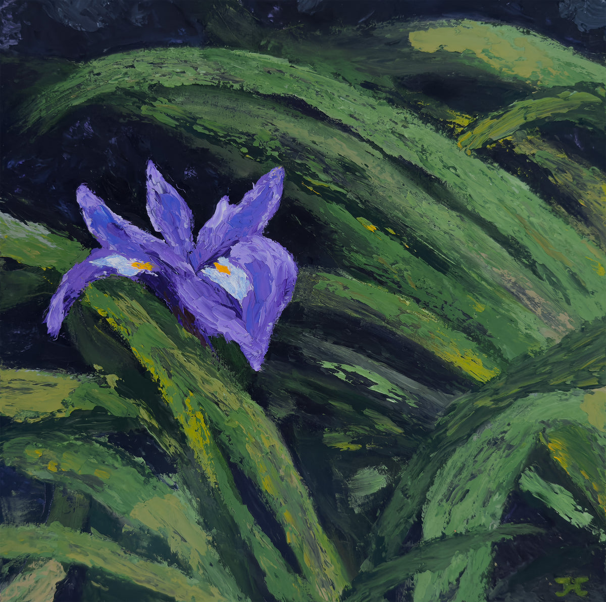 Iris in the Shadows