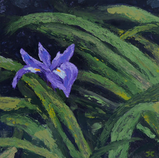 Iris in the Shadows