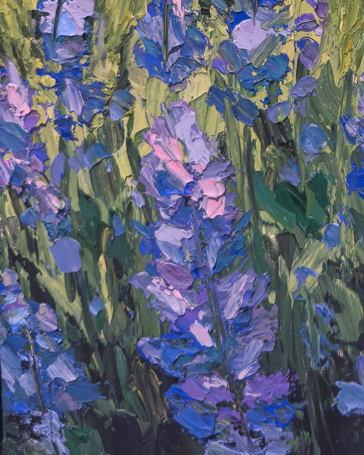 A Tide of Lupines