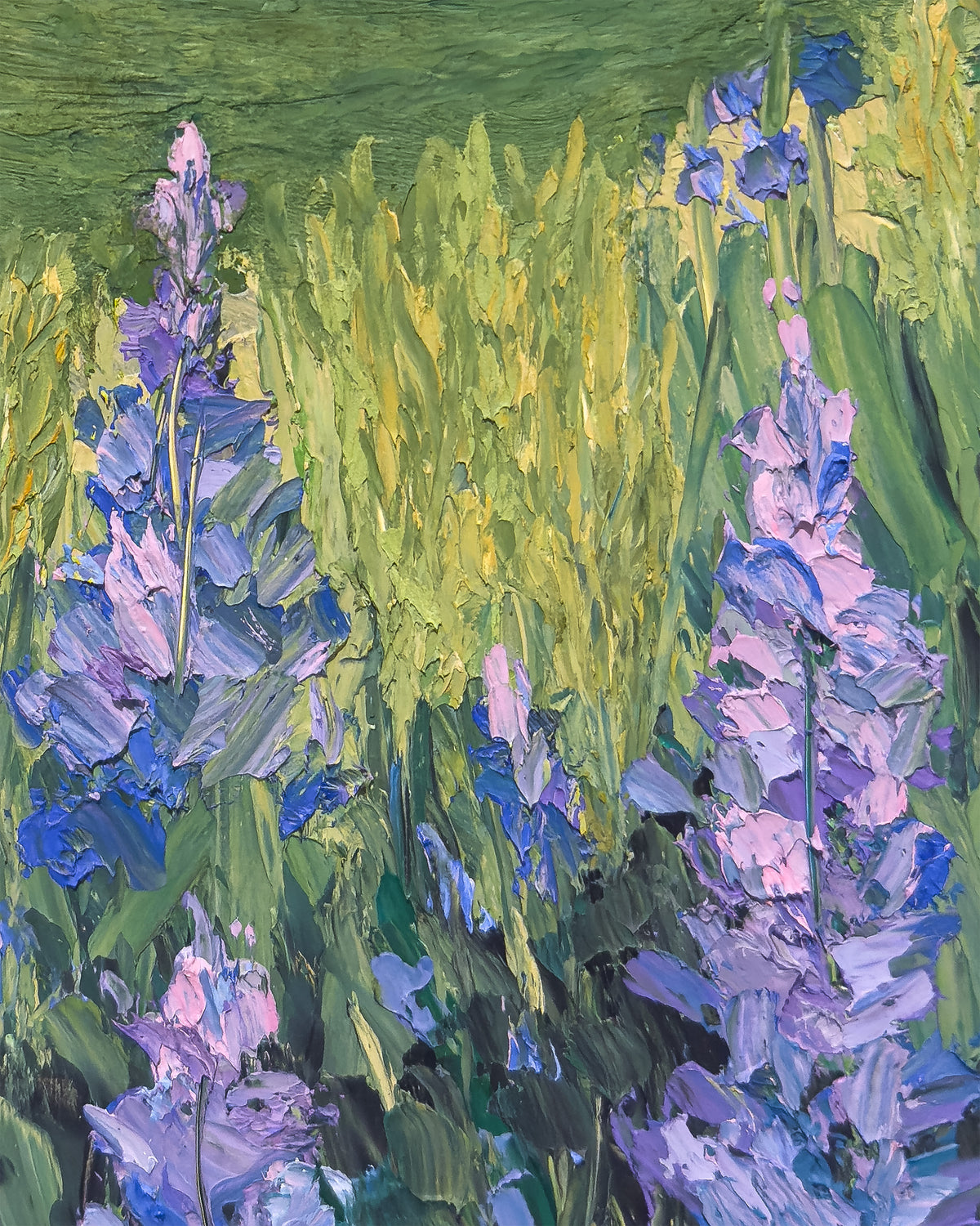 A Tide of Lupines
